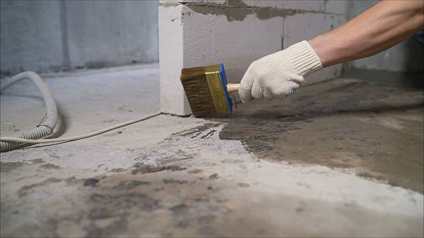 SJ Waterproofing Pros Waterproofing coverage map for Newberry, MI and surrounding area